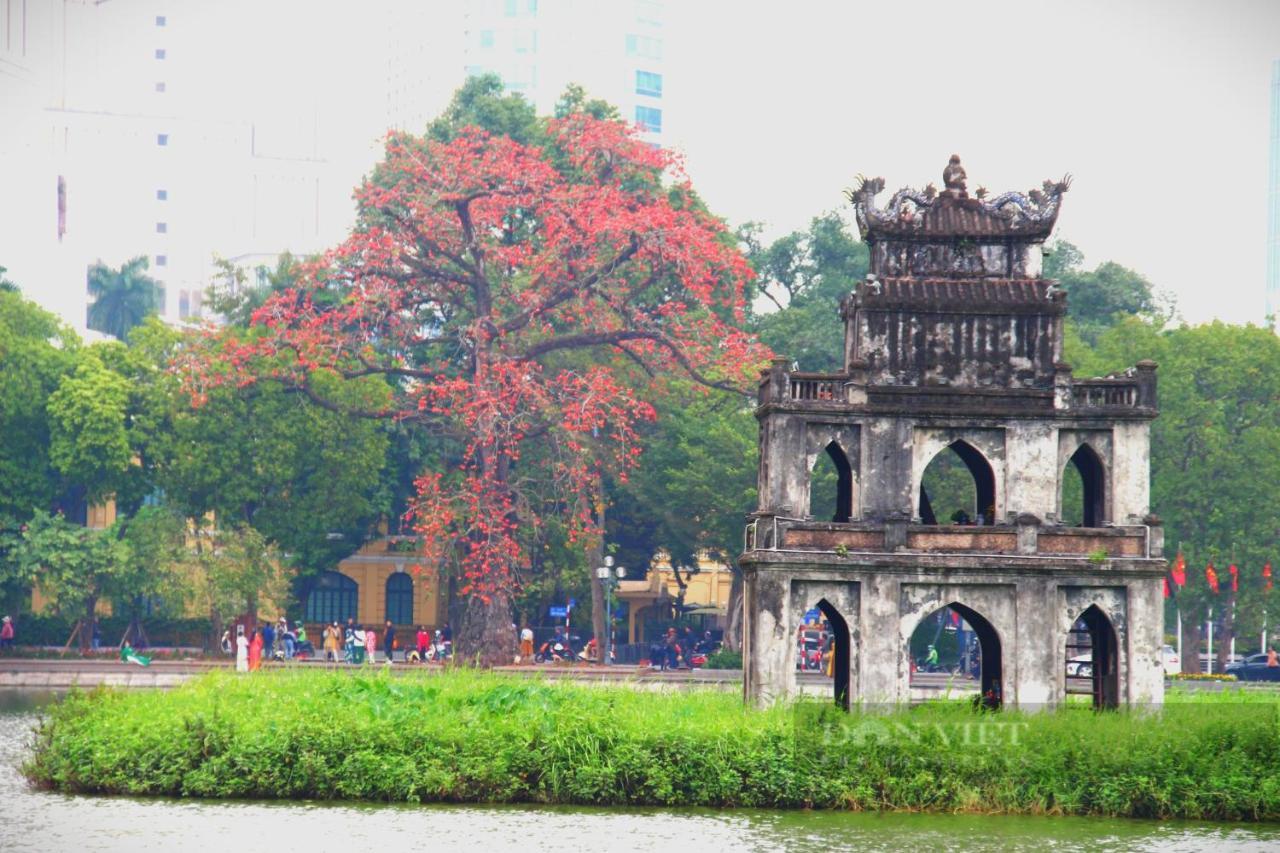 Bong Ha Noi Hostel Hanoi Eksteriør bilde